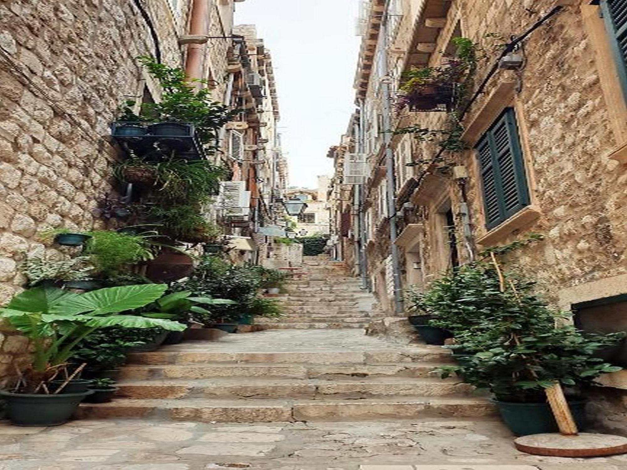 Pk Apartments - Dubrovnik Værelse billede